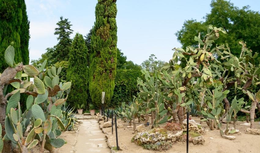 The Botanical Garden of Balchik